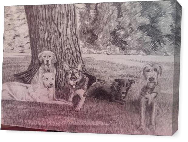 5 Dogs Under A Tree