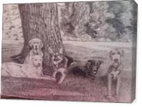 5 Dogs Under A Tree - Gallery Wrap