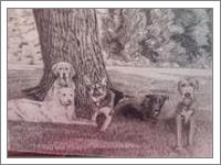 5 Dogs Under A Tree - No-Wrap