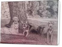 5 Dogs Chilling Under A Tree - Standard Wrap