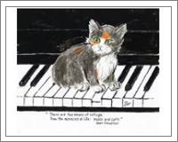 Music And Cats - No-Wrap