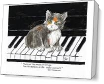 Music And Cats As Canvas