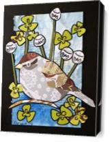 Chipping Sparrow As Canvas