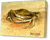 Crab Painting Square Art Print As Canvas