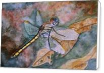 Dragonfly Painting Art Print - Standard Wrap