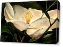 Magnolia Flower Acrylic Painting Art Print As Canvas