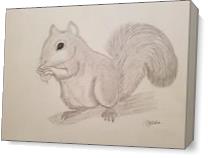 Squirrel With Nut As Canvas