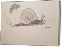 Snail - Gallery Wrap