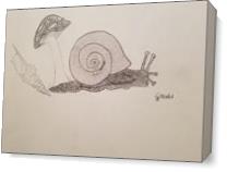 Snail As Canvas