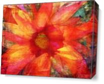 Fire Sunflower - Gallery Wrap Plus