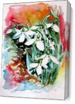 Snowdrops From My Garden - Gallery Wrap Plus