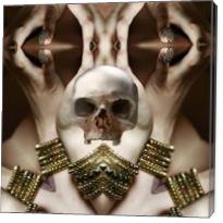 Skull Magic - Gallery Wrap