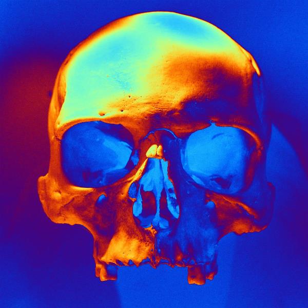 skull-in-blue-and-gold