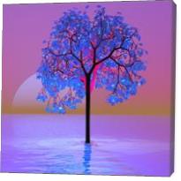 Tree Sunset - Gallery Wrap