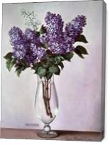 Lilac - Gallery Wrap