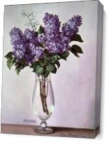 Lilac As Canvas