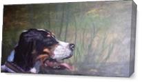 Huting Dog As Canvas