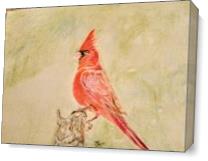 Cardinal As Canvas