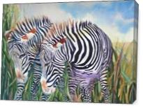 Zebra Zebra - Gallery Wrap