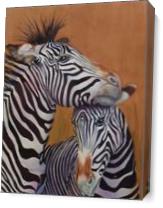 Zebra2 As Canvas