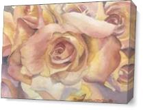 Antique Roses As Canvas