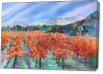 Autumn Vineyard - Gallery Wrap