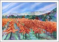 Autumn Vineyard - No-Wrap