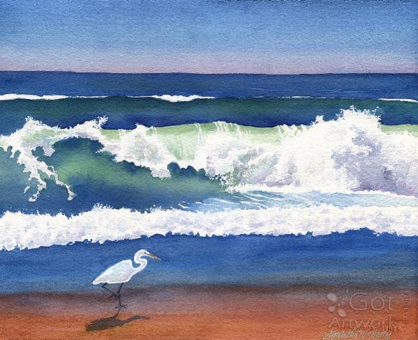 beach-egret