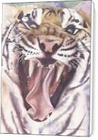Big Cat Rescue Tiger - Standard Wrap