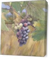 Grapes As Canvas