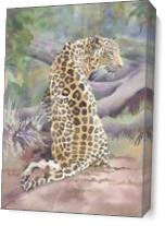 Big Cat Rescue Simba The Leopard As Canvas
