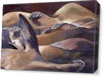 Pier 39 Sleeping Sea Lions As Canvas