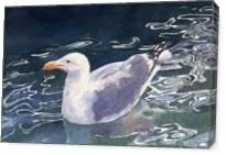 Seagull Floating - Gallery Wrap