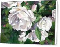 White Roses - Standard Wrap