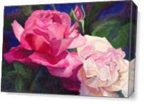 Victoria's Roses As Canvas