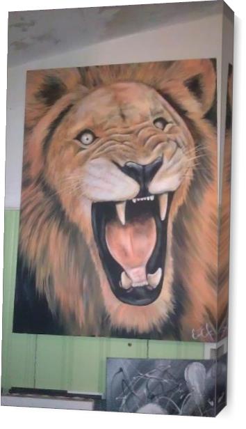 King Of The Jungle King Of The Jungle