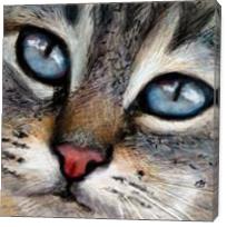 Cat - Blue Eyes - Gallery Wrap