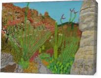 Pima Canyon In Arizona Desert - Gallery Wrap