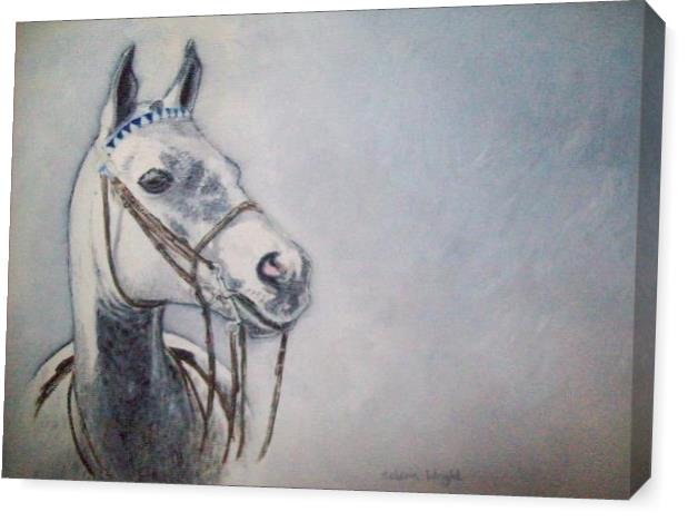 Grey Horse Grey Horse