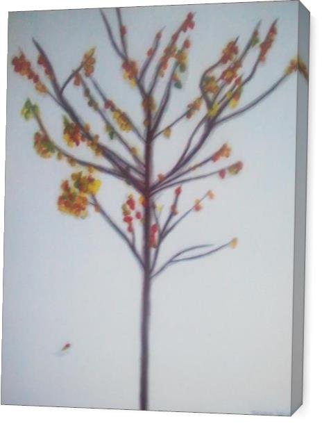 Little Tree Little Tree