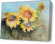 Sunflower Hill II - Gallery Wrap Plus