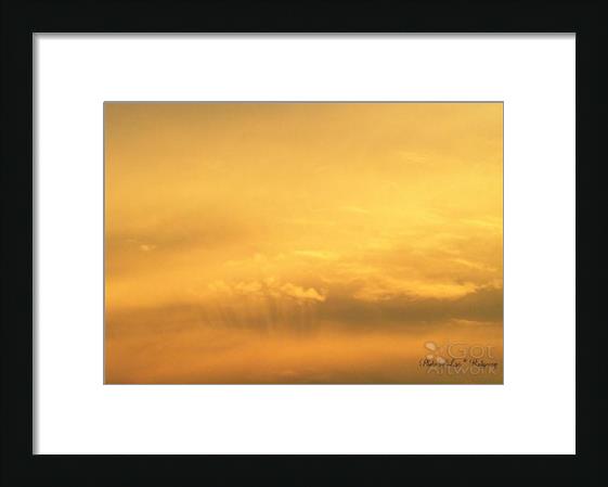 Lisa's Sky Lisa's Sky