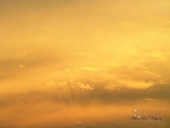 Lisa's Sky Lisa's Sky