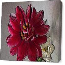 Lisas Red Flower As Canvas