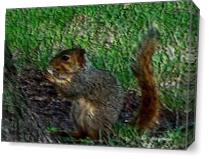 My Squirrel - Gallery Wrap Plus