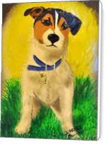 Jack Russel Terrier - Standard Wrap