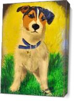 Jack Russel Terrier As Canvas