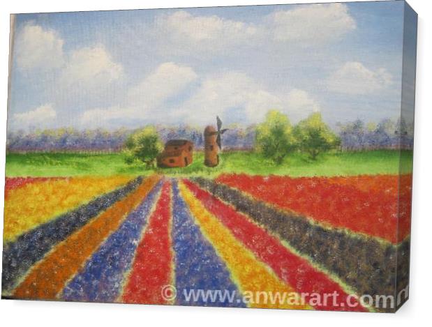 Tulip Fields Tulip Fields