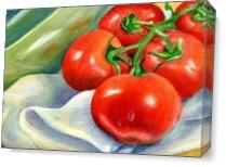 Tomatoes Still Life As Canvas
