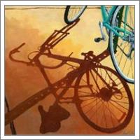 Aqua Angle - Bicycle Morning Shadows - No-Wrap